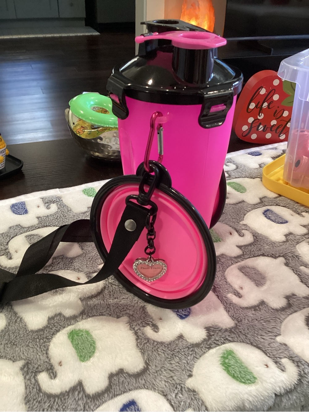 NWOT - Hot Pink Water & Food Btle w/Blk Strap, Leash, Car Restraint, & Collar!!!